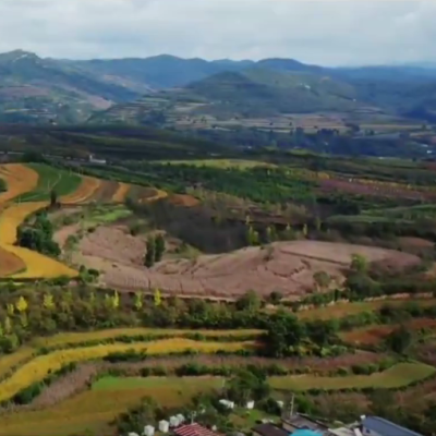 Climate-smart soybean Longhuang 3 in Longnan
